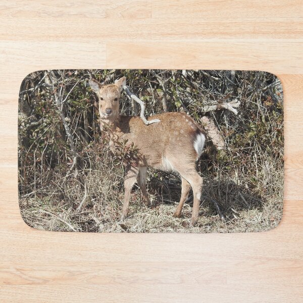 Item preview, Sika Deer, Wildlife Gifts, Wild Animals designed and sold by Sandra O'Toole.