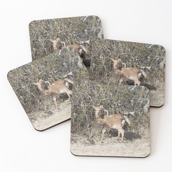 Item preview, Sika Deer, Wildlife Gifts, Wild Animals designed and sold by Sandra O'Toole.