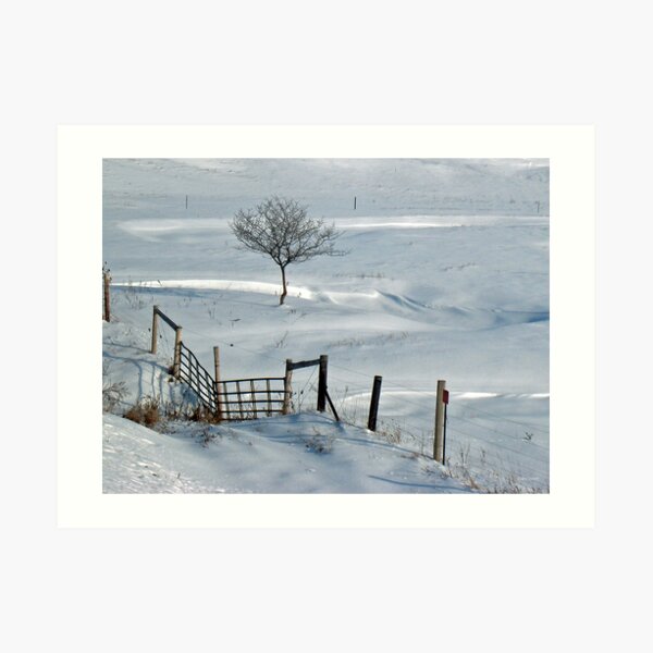 Waiting for Spring Art Print