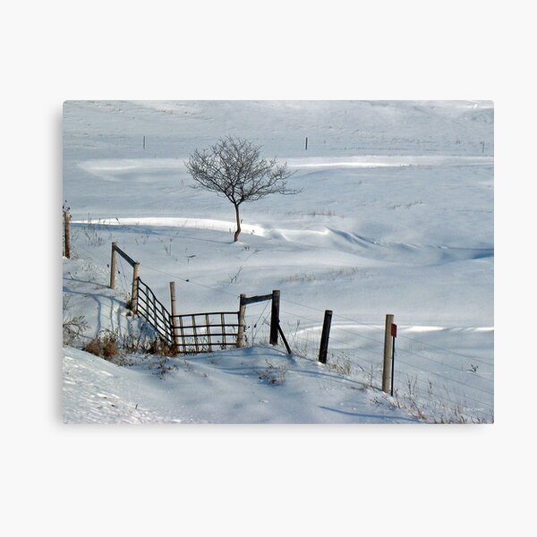 Waiting for Spring Canvas Print