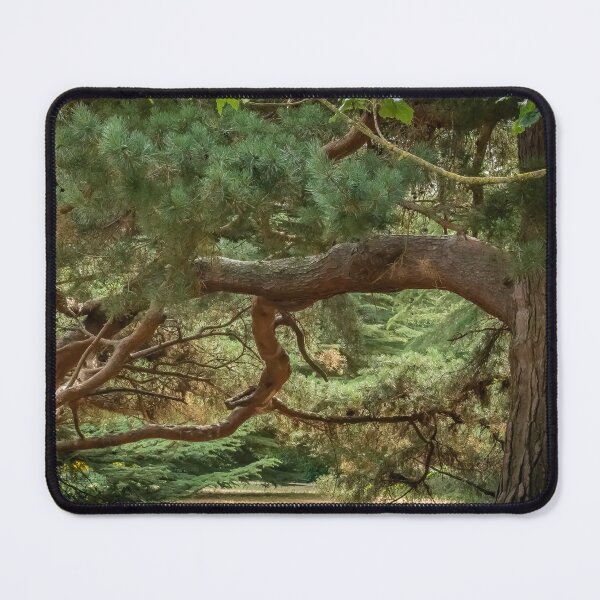 Item preview, Forest Walk designed and sold by ShutterSmithArt.
