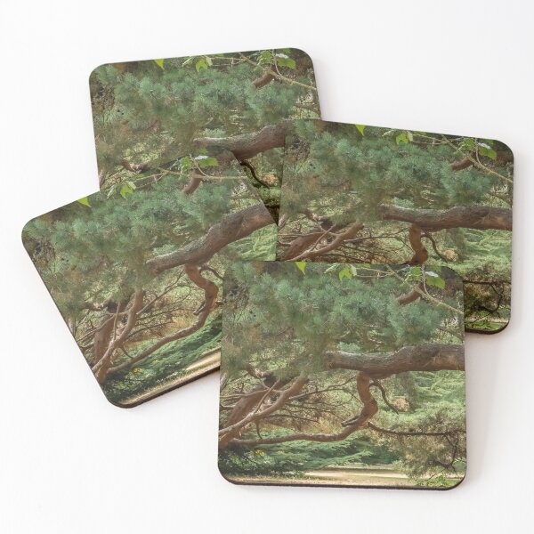 Item preview, Forest Walk designed and sold by ShutterSmithArt.