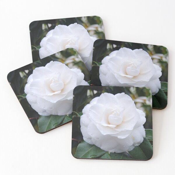 Item preview, Camellia designed and sold by iago rodriguez dopico.