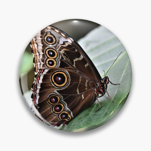 Item preview, Butterfly designed and sold by KBarrett-ForAwe.