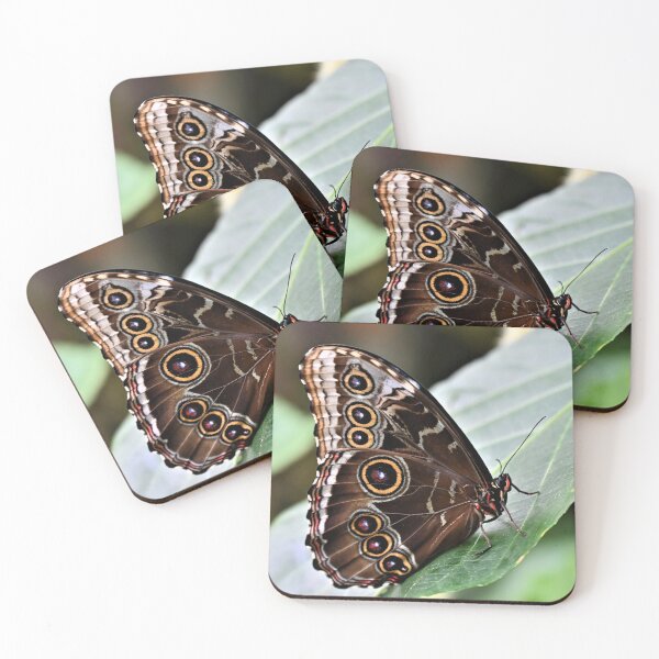 Item preview, Butterfly designed and sold by KBarrett-ForAwe.