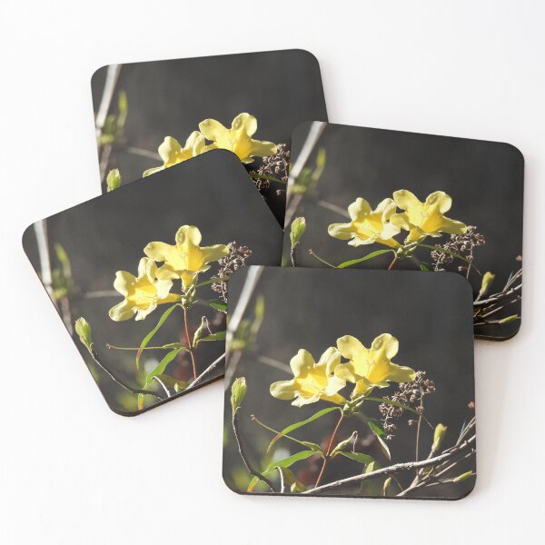 Item preview, Yellow jessamine wildflowers, nature, gifts  designed and sold by Sandra O'Toole.
