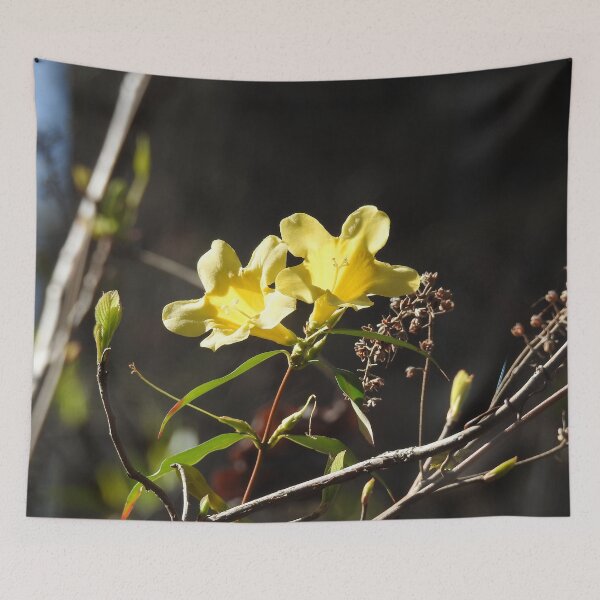 Item preview, Yellow jessamine wildflowers, nature, gifts  designed and sold by Sandra O'Toole.