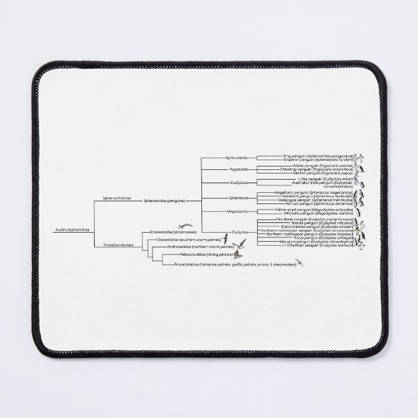 Item preview, Penguin Phylogenic Tree designed and sold by GraceT26.
