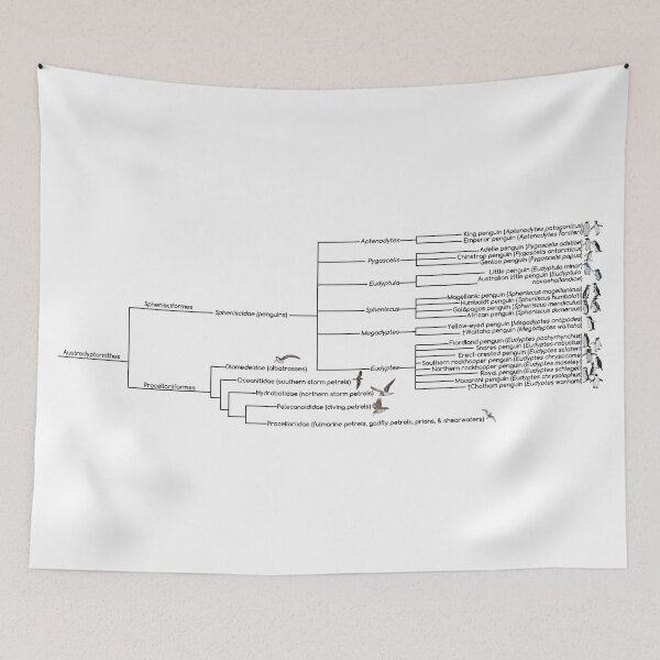 Item preview, Penguin Phylogenic Tree designed and sold by GraceT26.