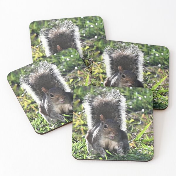 Item preview, Squirrel designed and sold by KBarrett-ForAwe.