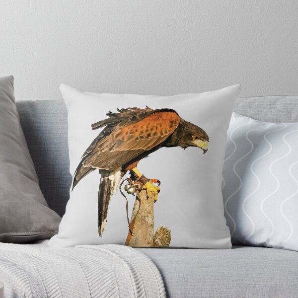 Item preview, Harris Hawk on watch designed and sold by OwlOccasions.