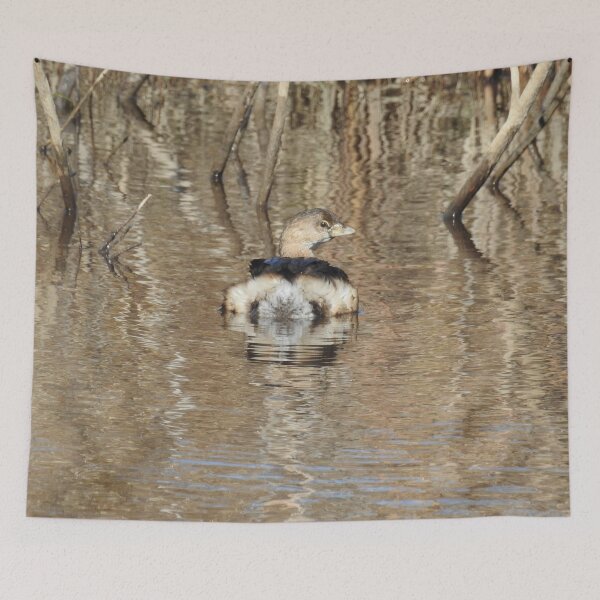 Item preview, Pied-billed grebe, wild birds, wildlife, gifts designed and sold by Sandra O'Toole.