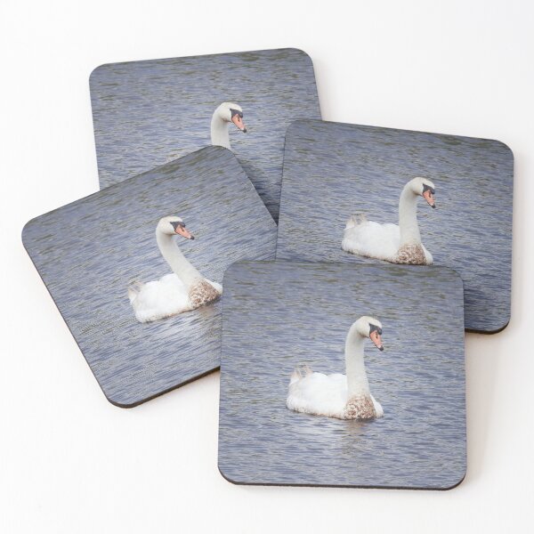 Item preview, Mute Swan, Wild Birds, Wildlife Gifts designed and sold by Sandra O'Toole.
