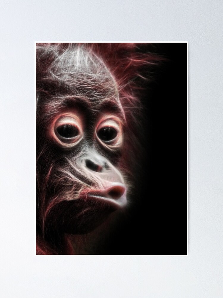 Monkey Stare Meme Poster for Sale by JENNIL1