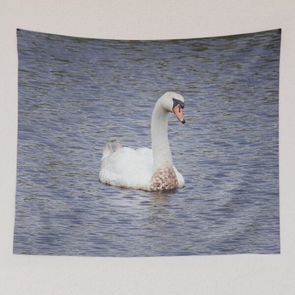 Item preview, Mute Swan, Wild Birds, Wildlife Gifts designed and sold by Sandra O'Toole.