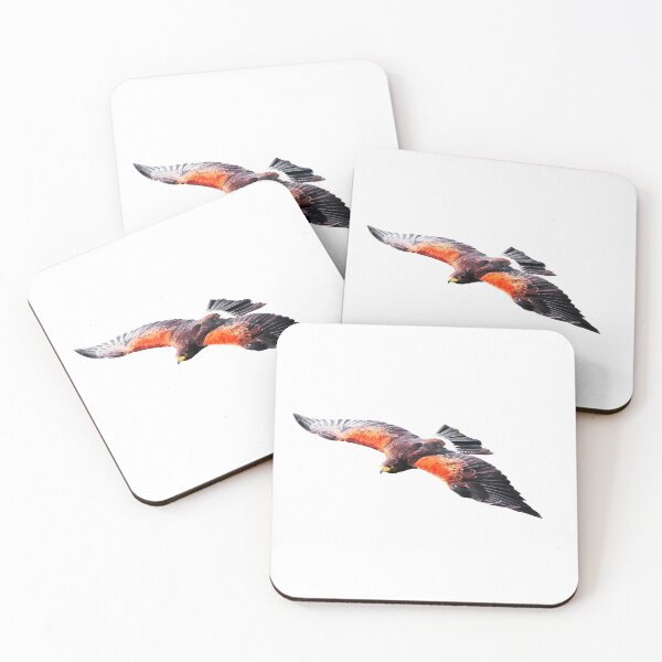 Item preview, Harris Hawk in flight designed and sold by Dalyndigital Photography.