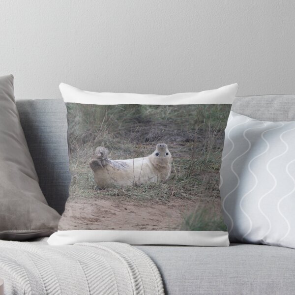 Item preview, cachorro de foca gris en linda pose designed and sold by andy colegate.