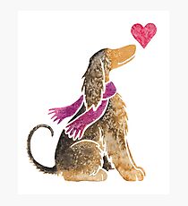 Watercolour Afghan Hound Photographic Print