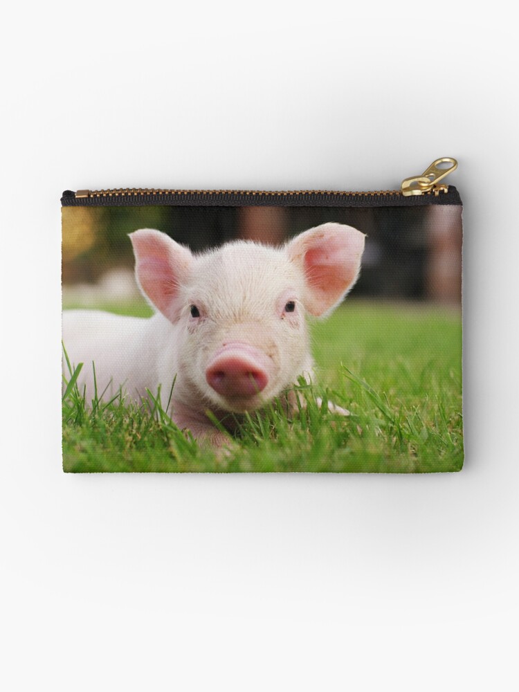 Pochette Petit Cochon Porcelet Bebe Par Dv Ltd Redbubble