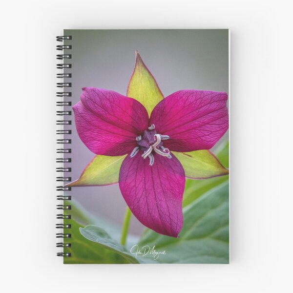 Item preview, Red Trillium designed and sold by John Mazerall.