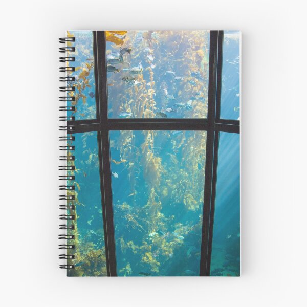 Item preview, USA. California. Monterrey Bay Aquarium. Kelp Forest. designed and sold by vadim19.