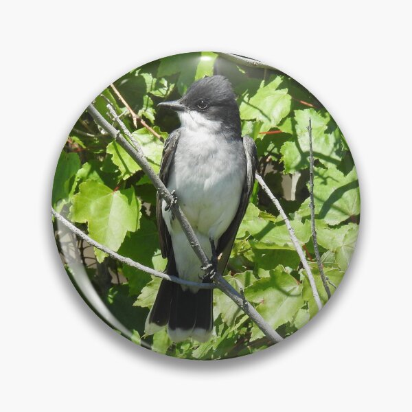 Item preview, Eastern kingbird, wild birds, wildlife gifts designed and sold by Sandra O'Toole.