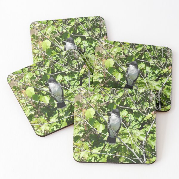 Item preview, Eastern kingbird, wild birds, wildlife gifts designed and sold by Sandra O'Toole.