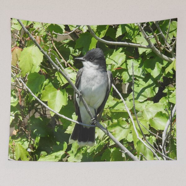 Item preview, Eastern kingbird, wild birds, wildlife gifts designed and sold by Sandra O'Toole.