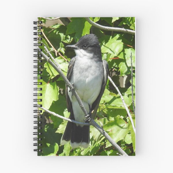 Item preview, Eastern kingbird, wild birds, wildlife gifts designed and sold by Sandra O'Toole.