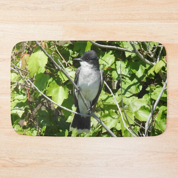 Item preview, Eastern kingbird, wild birds, wildlife gifts designed and sold by Sandra O'Toole.