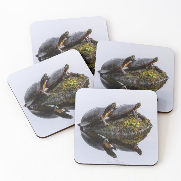 Item preview, Painted Turtle Palls designed and sold by John Mazerall.