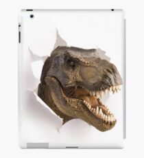 T-Rex Dinosaur Funny Face iPad Case/Skin