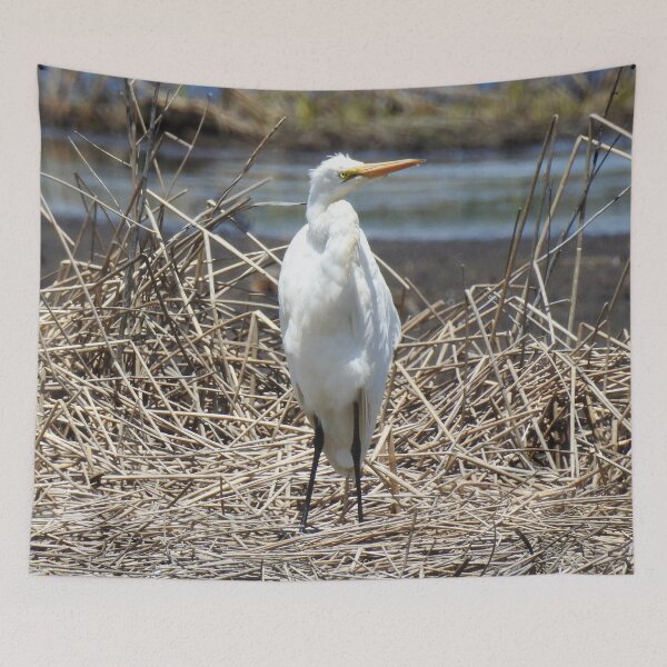Item preview, Great egret, wild birds, wildlife gifts designed and sold by Sandra O'Toole.