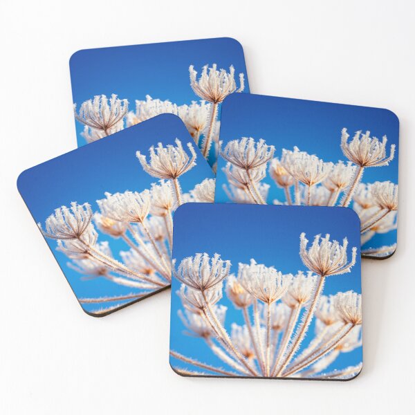 Item preview, Frost covered Queen Anne's Lace by heidiannemorris © designed and sold by FOLK ART FUSION.
