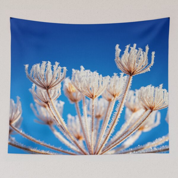 Item preview, Frost covered Queen Anne's Lace by heidiannemorris © designed and sold by FOLK ART FUSION by heidiannemorris.