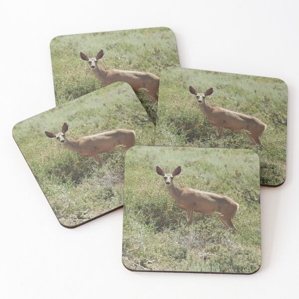 Item preview, Mule Deer, wild animals, wildlife gifts designed and sold by Sandra O'Toole.