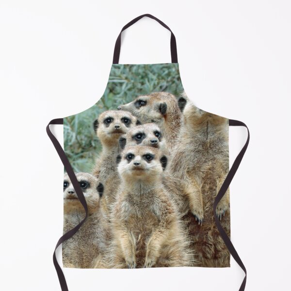 Item preview, Meerkat 012 designed and sold by JAMFoto.