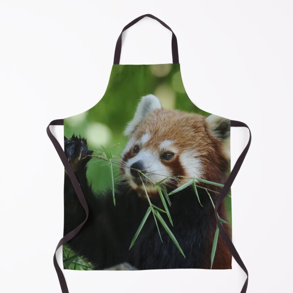 Item preview, Red Panda 002 designed and sold by JAMFoto.