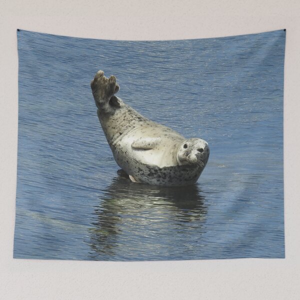 Item preview, Harbor seal, marine life, wildlife gifts designed and sold by Sandra O'Toole.