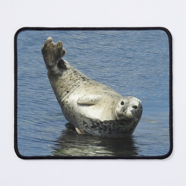 Item preview, Harbor seal, marine life, wildlife gifts designed and sold by Sandra O'Toole.