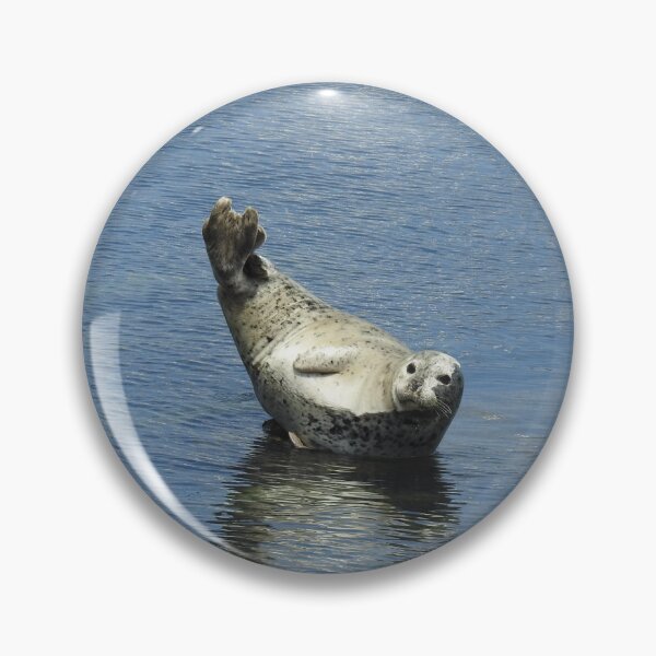 Item preview, Harbor seal, marine life, wildlife gifts designed and sold by Sandra O'Toole.