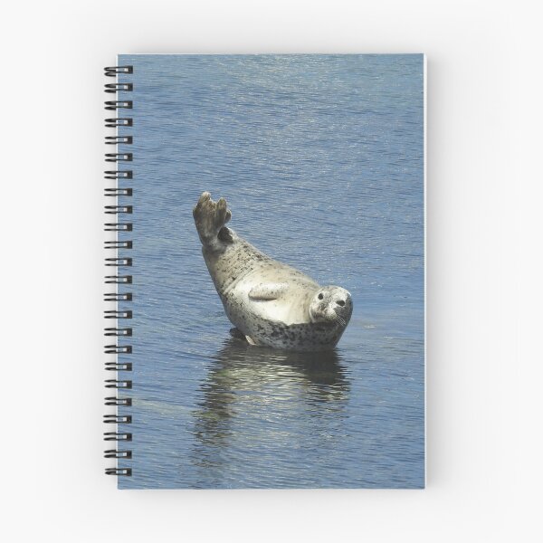 Item preview, Harbor seal, marine life, wildlife gifts designed and sold by Sandra O'Toole.
