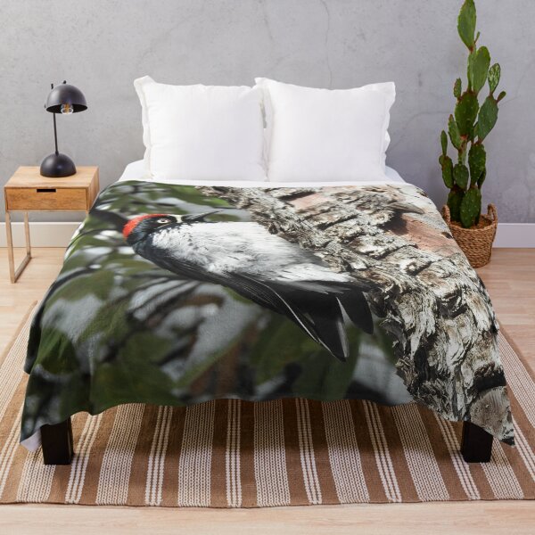 Item preview, Acorn woodpecker, wild birds, wildlife gifts designed and sold by Sandra O'Toole.