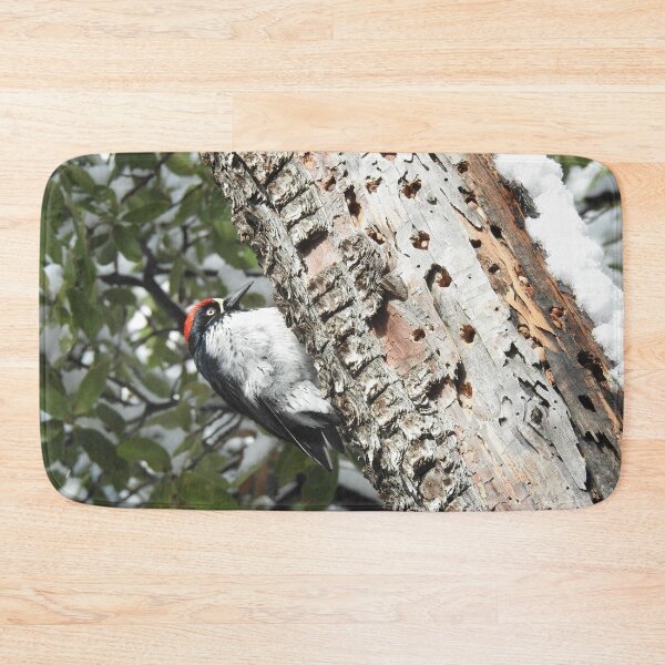 Item preview, Acorn woodpecker, wild birds, wildlife gifts designed and sold by Sandra O'Toole.