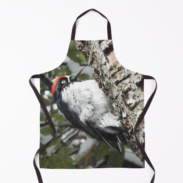 Item preview, Acorn woodpecker, wild birds, wildlife gifts designed and sold by Sandra O'Toole.