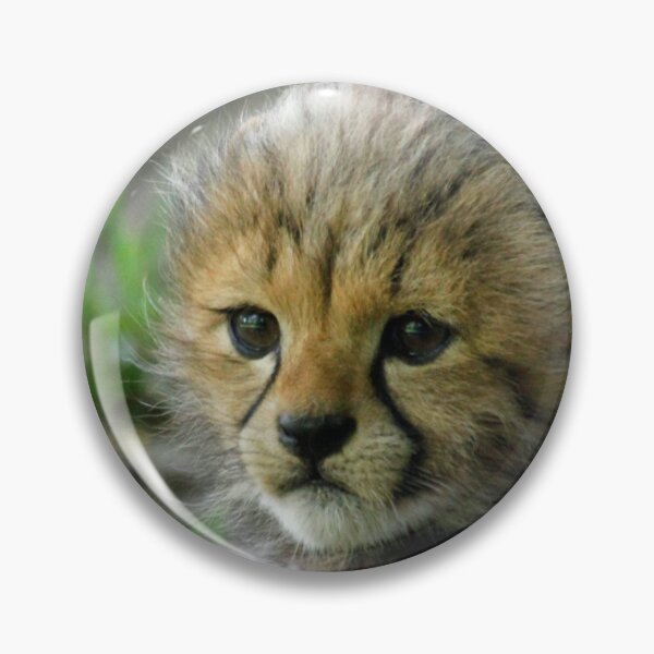 Item preview, Cheetah 013 designed and sold by JAMFoto.