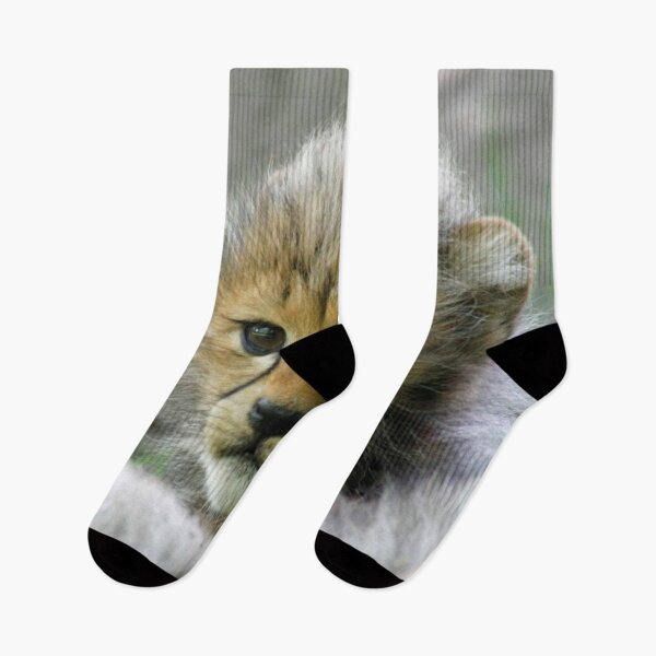 Item preview, Cheetah 013 designed and sold by JAMFoto.