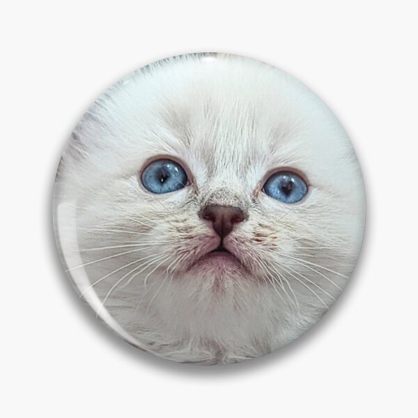 Item preview, Sweet Christmas ragdoll kitten designed and sold by Fluffycat2020.