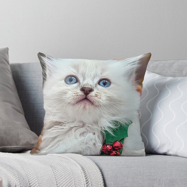 Item preview, Sweet Christmas ragdoll kitten designed and sold by Fluffycat2020.