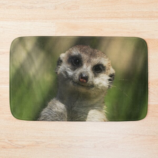 Item preview, Meerkat 034 designed and sold by JAMFoto.